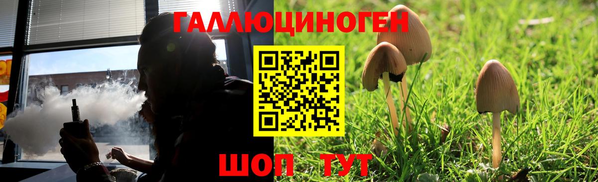 Галлюциногенные грибы MAGIC MUSHROOMS  Псилоцибиновые грибы прущие грибы  Чита  Вход с VPN 