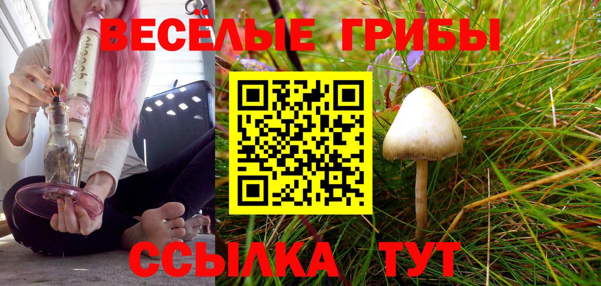 Псилоцибиновые грибы GOLDEN TEACHER Чита